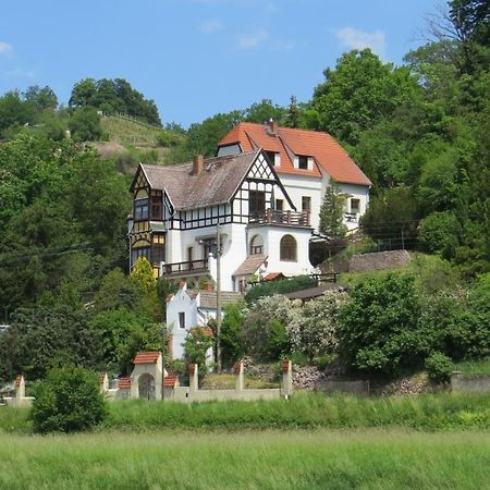 Ferienwohnung Elbsommer Am Weinberg Мейсен Экстерьер фото
