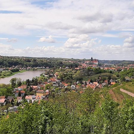 Ferienwohnung Elbsommer Am Weinberg Мейсен Экстерьер фото