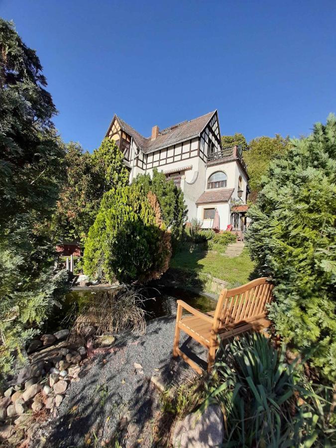Ferienwohnung Elbsommer Am Weinberg Мейсен Экстерьер фото