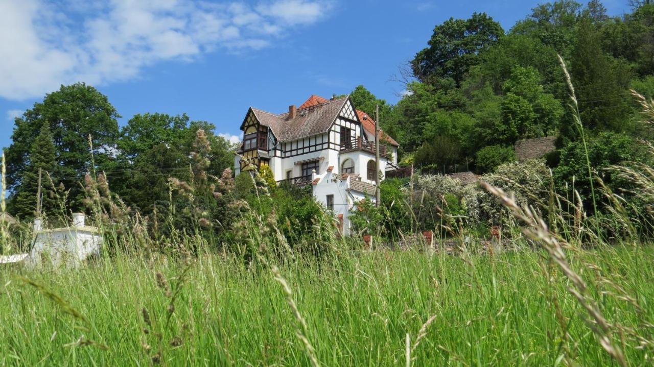 Ferienwohnung Elbsommer Am Weinberg Мейсен Экстерьер фото